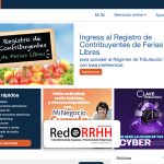 El Formulario 29 es la declaración mensual de impuestos que deben realizar todas las empresas y personas con inicio de actividades ante el Servicio de Impuestos Internos.